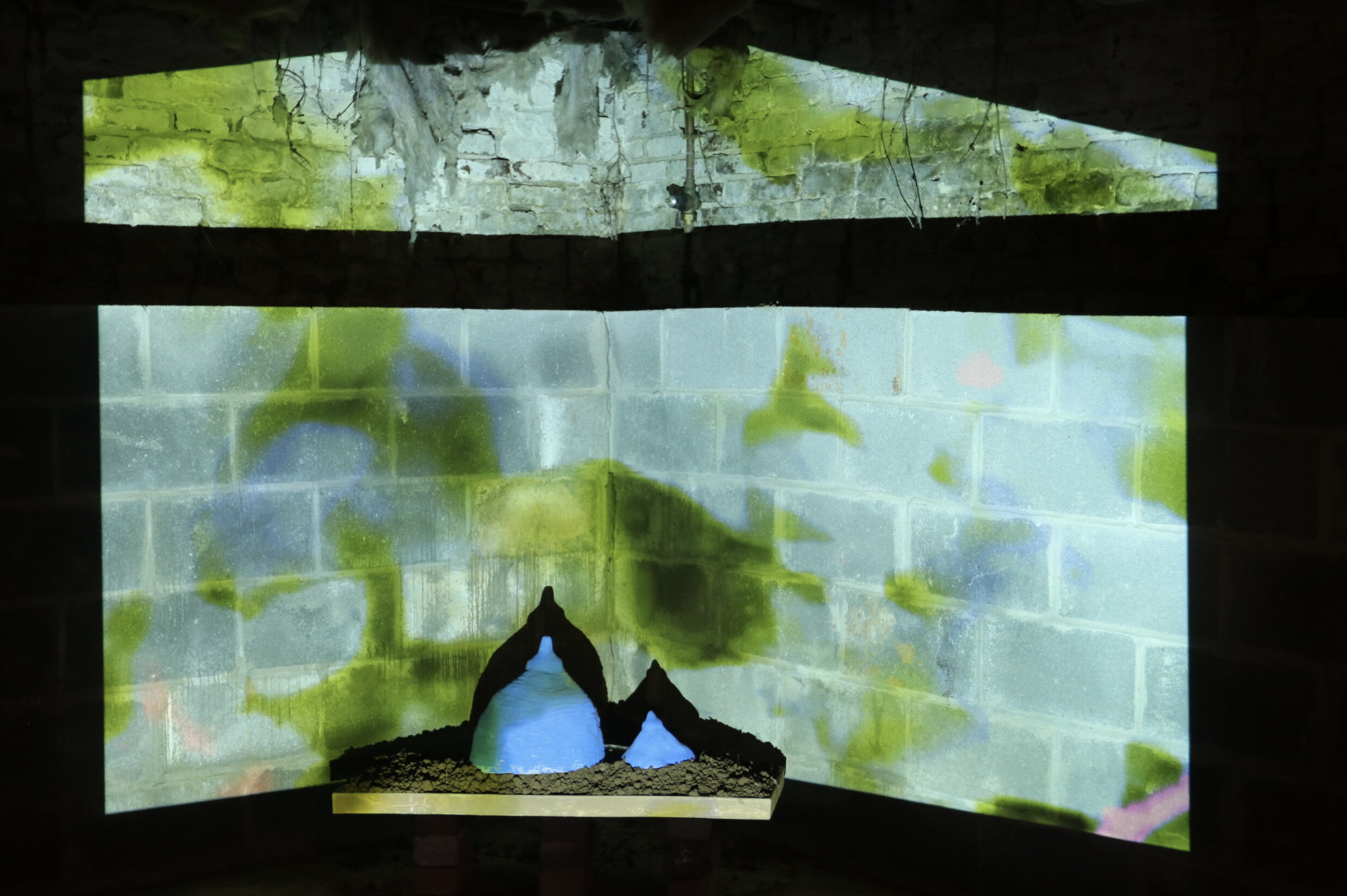 Le Swamp: A Colliding Ground for Interdisciplinary Art