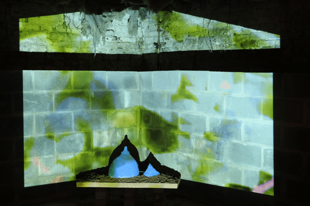 Le Swamp: A Colliding Ground for Interdisciplinary Art