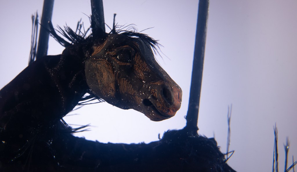 Underwater Puppetry by Faith Belt